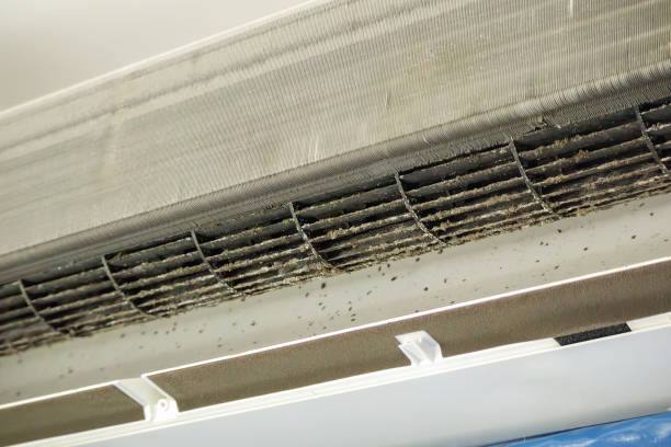 Best Air Quality Test  in Hickory Creek, TX